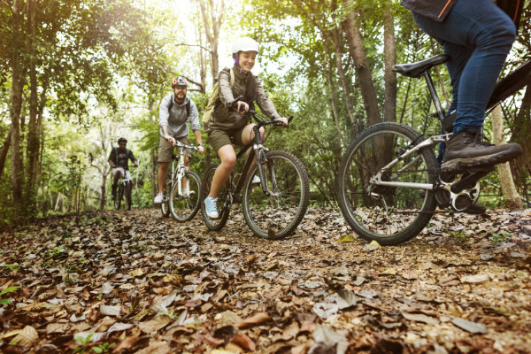 Freundesgruppe auf dem Rad im Wald